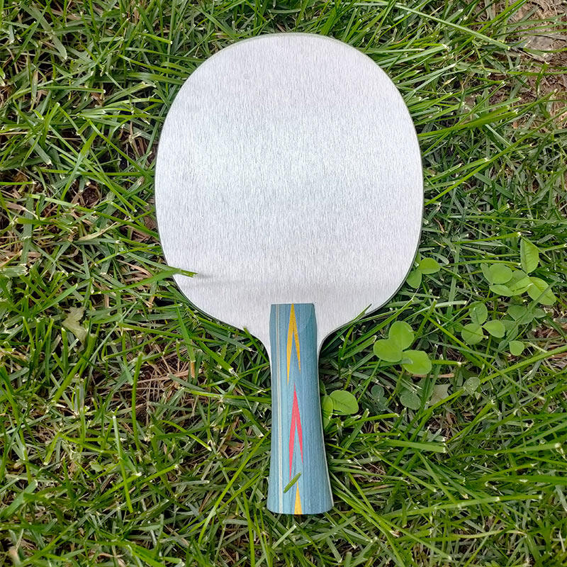 Plaque de base de tennis de ta - Badminton Racket Carbon avis et prix