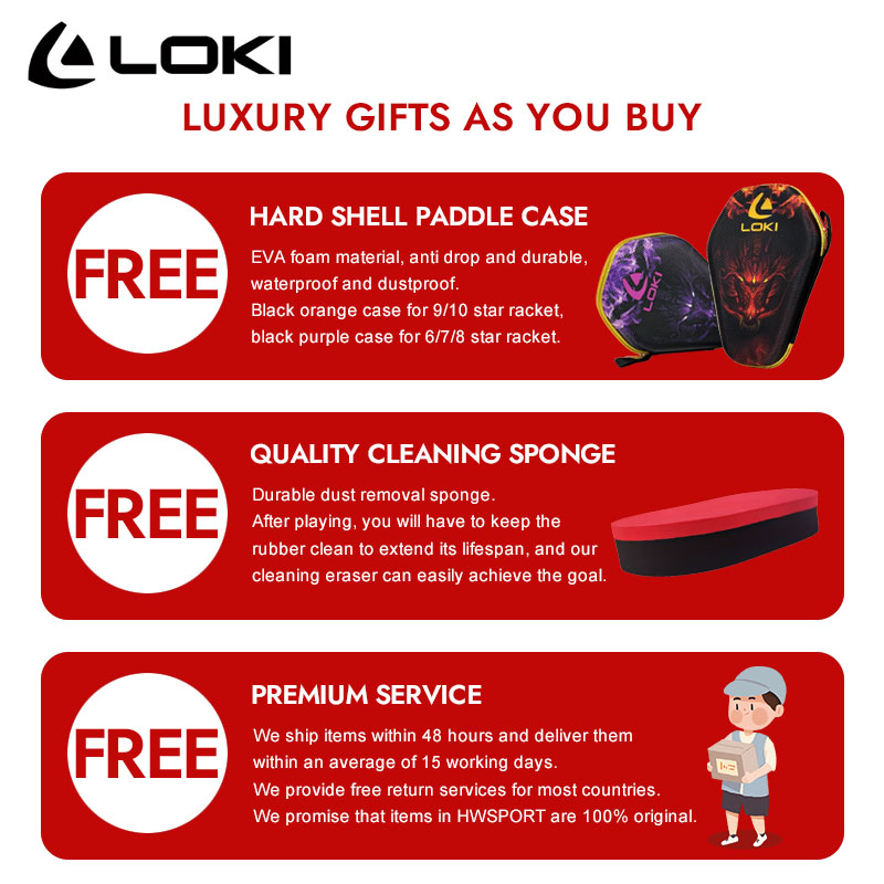 LOKI DRAGON 10 étoiles raquett - Badminton Racket Carbon avis et prix
