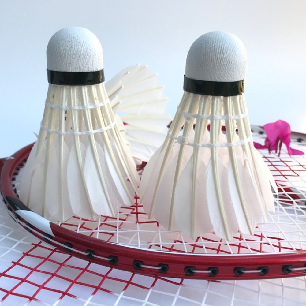 Volant de Badminton blanc, bal - Feather Shuttlecock avis et prix