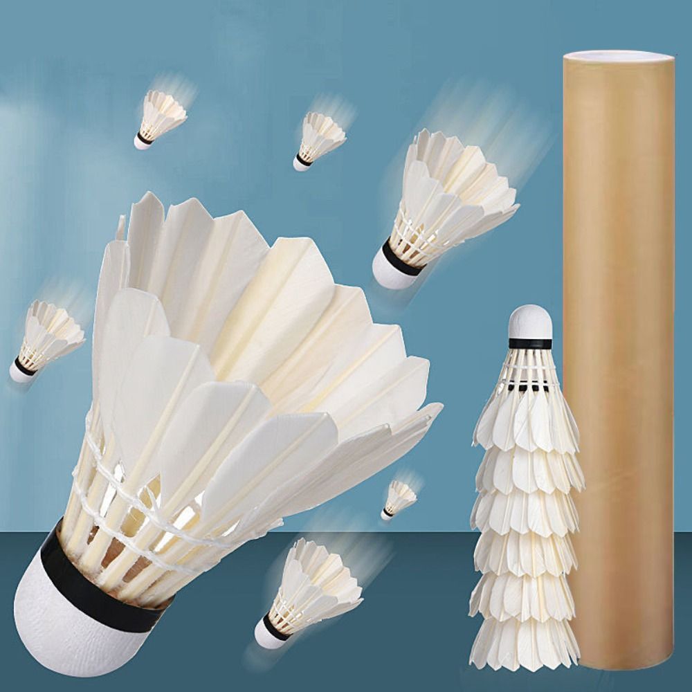 Volants de badminton blancs ne - Feather Shuttlecock avis et prix